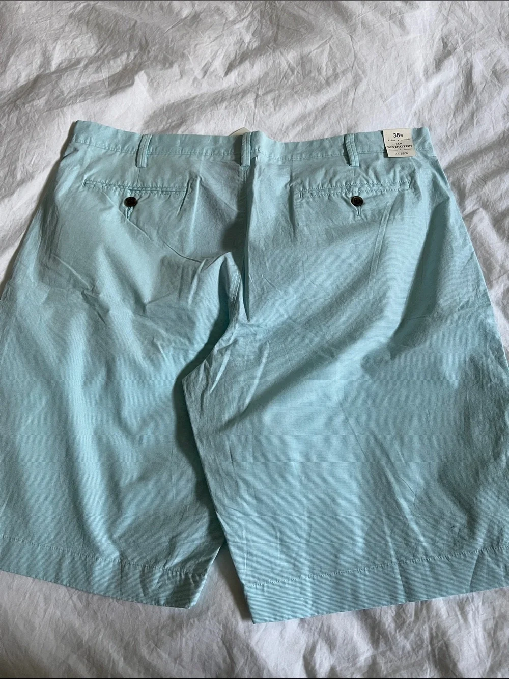 J. Crew Rivington Cotton Pinstripe Shorts Mint teal Size 38 NWT